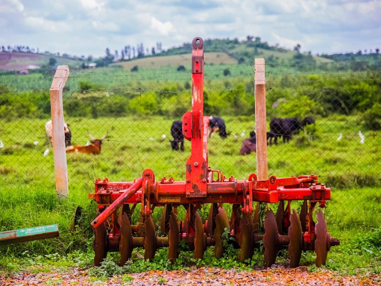 Buhler LRWZ 2021