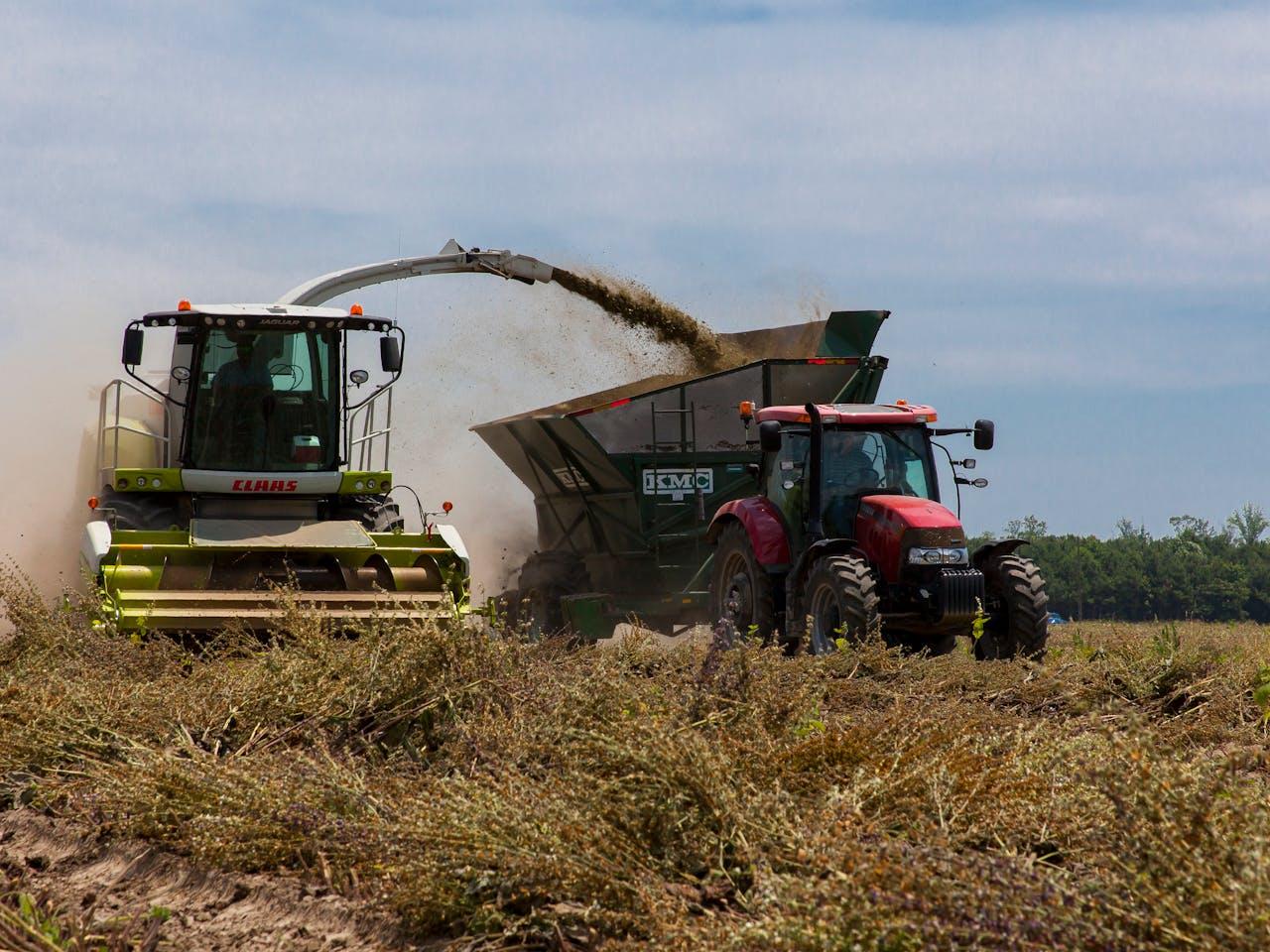 Sortex Optyx 2RH 2021 — imagen 6 de 6