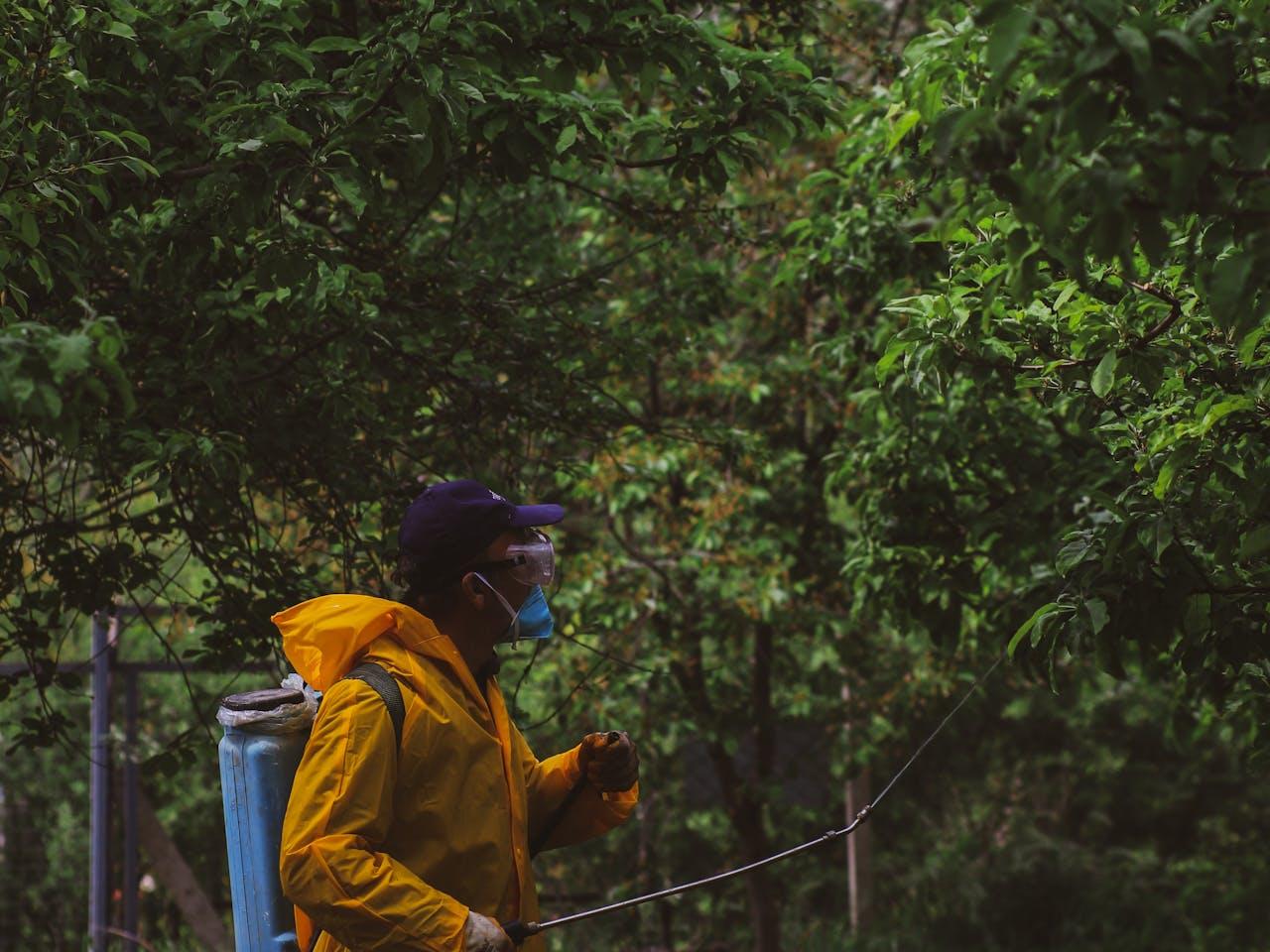 Stihl BR700  — imagen 4 de 4