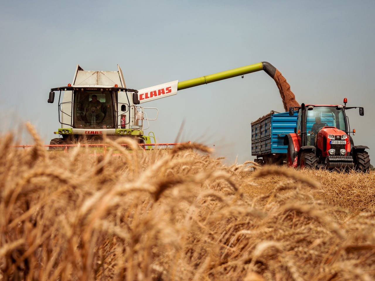 Claas Variant 360 2003 — imagen 3 de 6