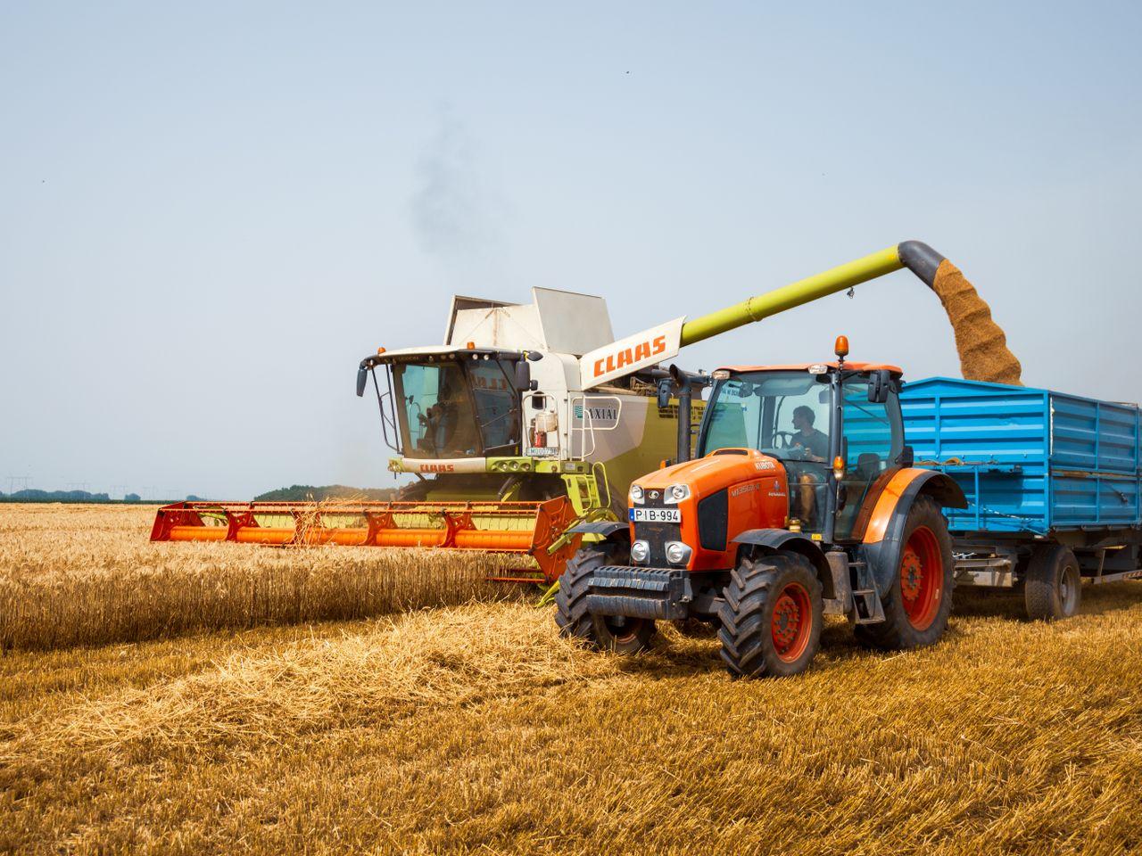 Claas Variant 360 2003 — imagen 4 de 6
