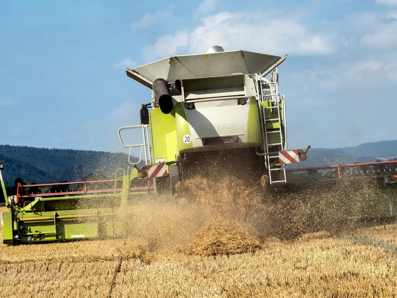 Casp Línea selectora 3T/h 2022