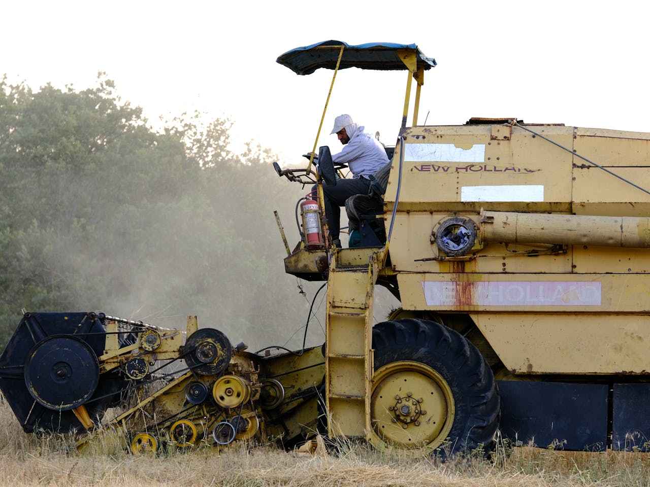 Casp Línea selectora 3T/h 2022 — imagen 3 de 6