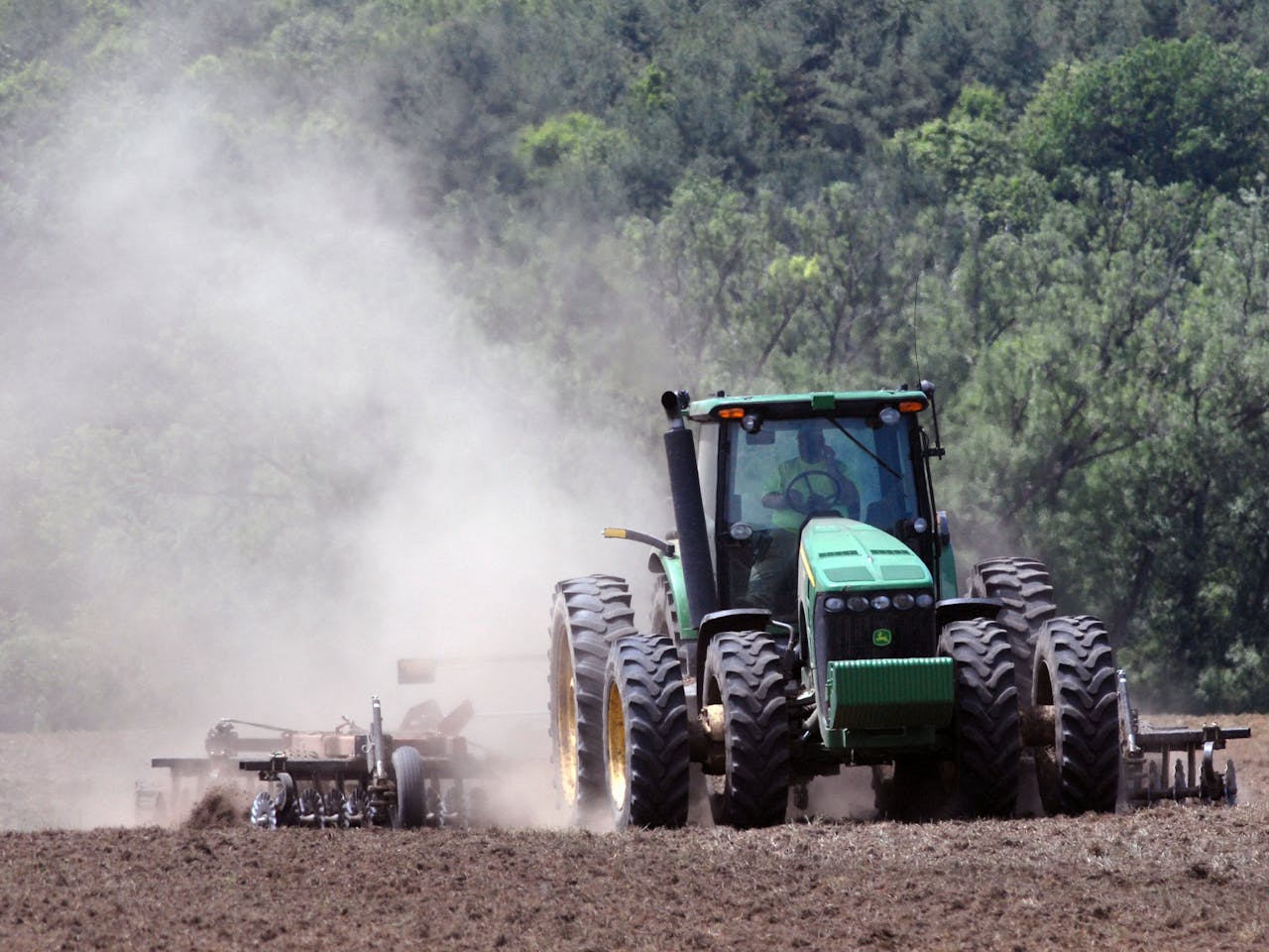Casp Línea selectora 3T/h 2022 — imagen 6 de 6