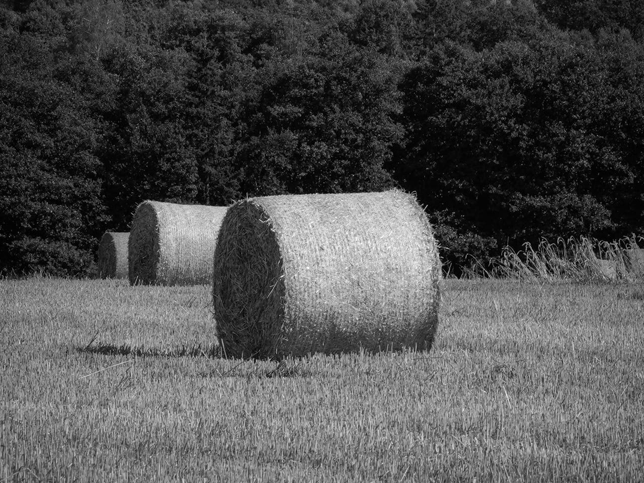 Krone Comprima V150 2010 — imagen 2 de 5