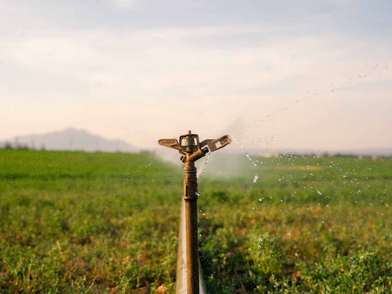 Genérica Tolva graneles 2010 — imagen 5 de 5