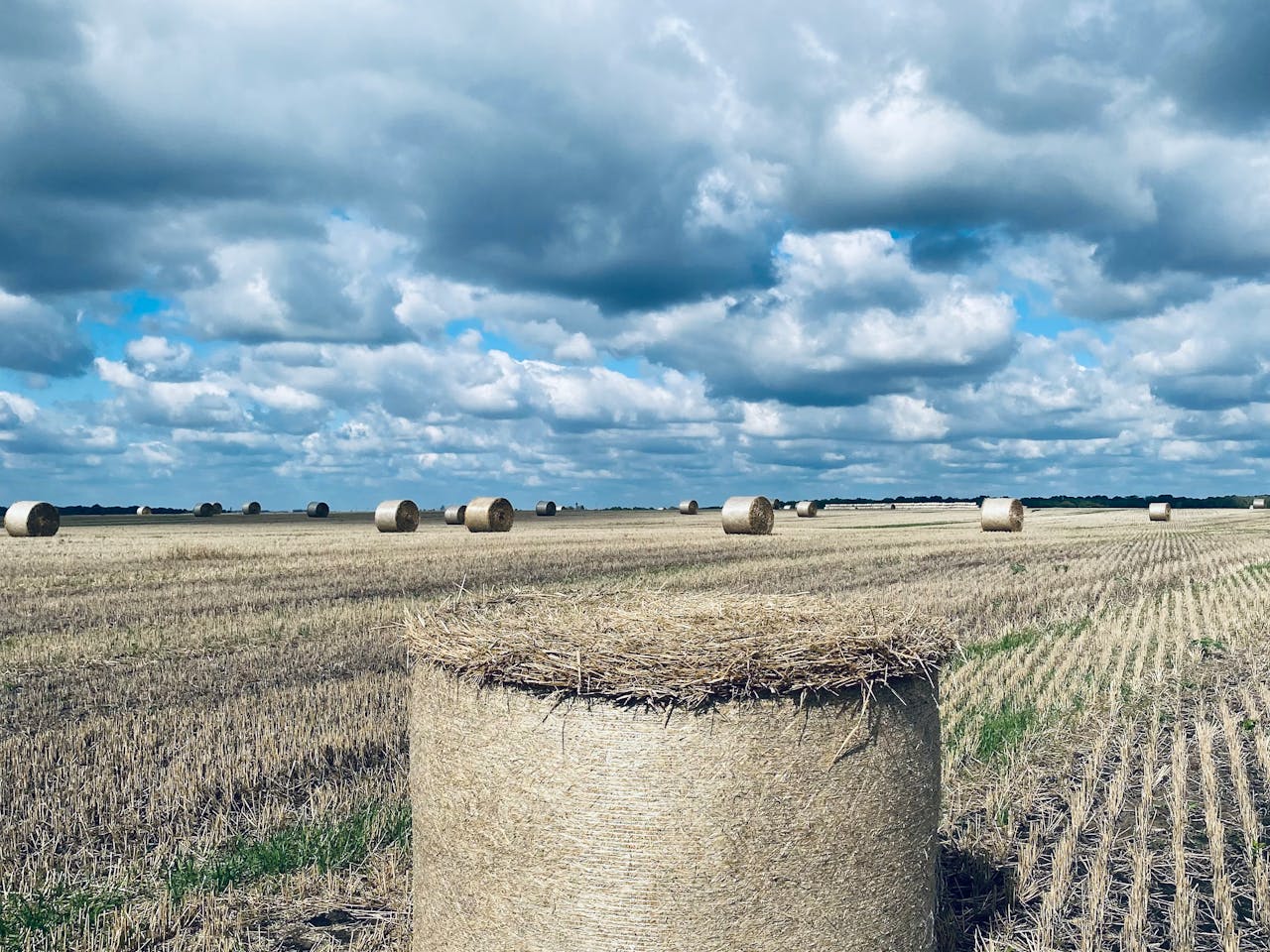 Scania R450 2005 — imagen 2 de 5